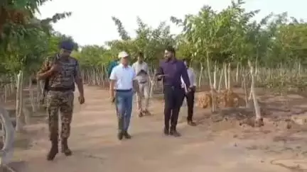 जांजगीर: कलेक्टर जन्मेजय महोबे ने टसर केंद्र महुदा (च) का निरीक्षण किया, स्व-सहायता समूह की महिलाओं के कार्यों की सराहना की