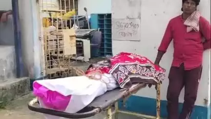 কাটোয়া ১: কুরচি উত্তরপাড়া এলাকায় সাপের কামড়ে মৃত্যু হল এক গৃহবধুর
