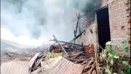নাকাশিপাড়া: নিশ্চিন্তপুরে পুড়ল গৃহস্থের বাড়ি, অগ্নিদগ্ধ একটি গরু, মৃত্যু 3টি ছাগলের