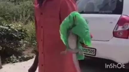 किशनगढ़: शिवलोक कॉलोनी में घर के टॉयलेट पॉट से निकला गोयरा, मची दहशत