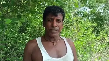 কুলতলি: জঙ্গল সংলগ্ন নদী রাস্তায় পর্যাপ্ত আলো না থাকায় কুলতলির দেউলবাড়ী এলাকায় বারে বারে বাঘ আসছে লোকালয়ে