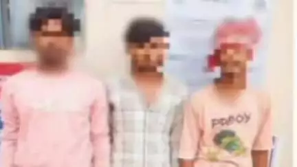 पंडौल: डकैती की योजना बना रहे तीन अपराधी देसी कट्टा और चाकू के साथ गिरफ्तार: एसपी