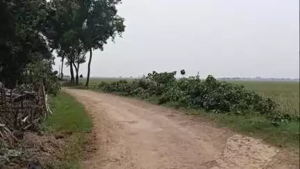 কেতুগ্রাম ১: কেতুগ্রামে রাস্তা চেনাতে এবার সরকারি অর্থে বসানো পথ নির্দেশ সাইনবোর্ডে লেখা 'TMC পার্টি অফিস', বিতর্ক ছড়িয়েছে এলাকায়