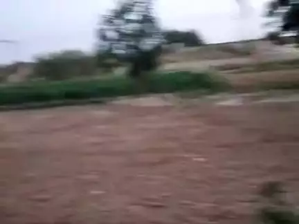 सहसराम आश्रम पर पहुंचे गौ पुत्र धर्म दास महाराज