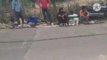 पिछोर: ग्राम गणेशखेड़ा तिराहे के हाट बाजार में खुलेआम मांस-मछली की बिक्री, मुख्यमंत्री के आदेशों का उल्लंघन