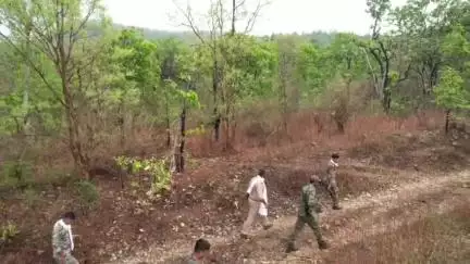 पन्ना: तराई क्षेत्रों में नए गिरोह की दस्तक, ड्रोन से निगरानी, जंगल में उतरे कई थाना प्रभारी