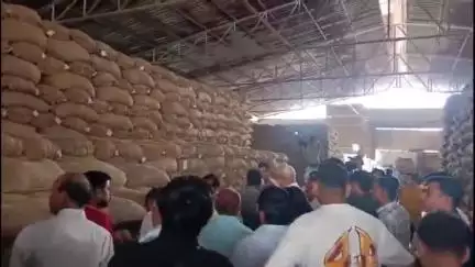 कृषि मंत्री ने श्रीगंगानगर में दो दिन में 14 बीज फैक्ट्रियों पर की कार्रवाई, सभी से बरामद किया गया नकली बीज
