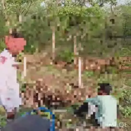 बालोद: बालोद-दल्लीराजहरा मुख्य मार्ग पर ग्राम दैहान के पास स्कूटी सवार 2 युवक अनियंत्रित होकर गिरे, आई गंभीर चोट, जिला अस्पताल