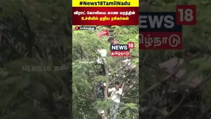 Virat Kohli-ஐ காண மரத்தின் உச்சியில் ஏறிய RCB ரசிகர்கள் | RCB Victory Parade | N18S