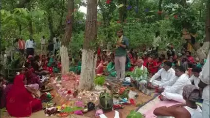 इचाक: कैले गांव स्थित नेशनल पार्क में वन महोत्सव आयोजित, पेड़ों में रक्षा सूत्र बांधकर पर्यावरण बचाने का लिया गया संकल्प