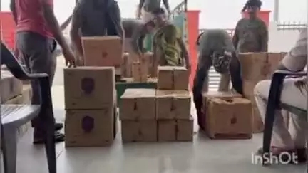 सोनो: कटहल के नीचे छिपाकर लाई जा रही 7.5 लाख की अंग्रेजी शराब डुमरी से जब्त, चालक किया गया गिरफ्तार