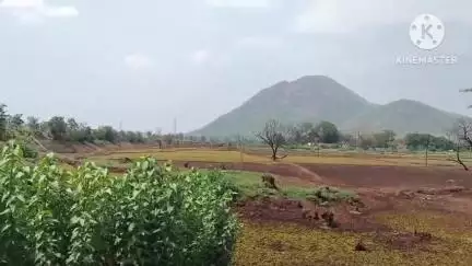 ନୂଆପଡା: ପ୍ରକଳ୍ପ ପାଣିରେ ବୁଡି ଯାଇଛି ଚାଷ ଜମି, କ୍ଷତି ପୂରଣ ନପାଇ ପେଣ୍ଡରାୱନ ପଞ୍ଚାୟତ ଠାରେ ପ୍ରତିକ୍ରିୟା ରଖିଲେ ଗ୍ରାମବାସୀ #jansamasya