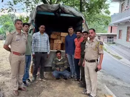 निहरी: नेहरा पलोहटा में जयदेवी वन बीट कर्मियों ने नाकाबंदी कर पिकअप से 29 स्लीपर देवदार की अवैध लकड़ी की बरामद