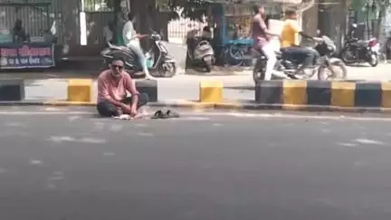 પાનવાડી વિસ્તારમાં નશા ની હાલતમાં દારૂડિયો રોડ વચ્ચે જમવા બેસી ગયો વિડિયો થયો વાયરલ #viral