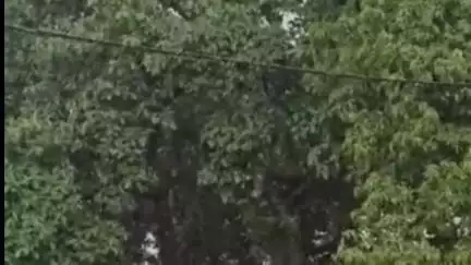छिंदवाड़ा नगर: छिंदवाड़ा में तेज धूप के बाद अचानक बारिश, तापमान में 3 डिग्री गिरा, कई क्षेत्रों में बिजली बाधित होने की आशंका