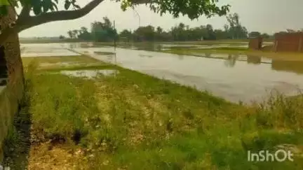 चौरीचौरा: चौरी चौरा में अचानक नहर में आया पानी, किसानों का धान का बेहन डूब गया