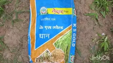 पवनी: मांगली चौरास येथे बियाणे कंपनीने केली शेतकऱ्यांची फसवणूक ! शेतकऱ्यांची ग्राहक मंचात तक्रार #jansamasya