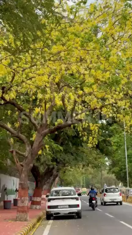 Summer in Patna 📍🌞 @patna #patna #summer