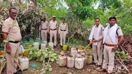 बिछिया: अंजनिया गांव में नदी किनारे अवैध शराब पर बड़ी कार्रवाई, 95 लीटर कच्ची शराब और 11 क्विंटल लाहन जब्त
