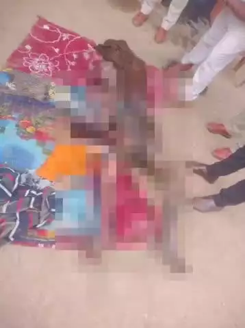 कवर्धा: जिले में हुआ तीसरा मर्डर, बामी गांव में 70 साल के बुजुर्ग को पेट्रोल डालकर जिंदा जलाया