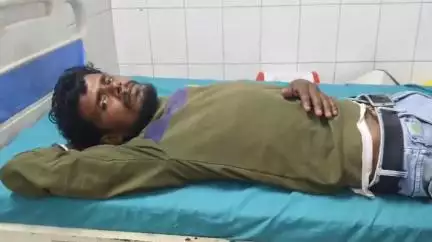 चकिया: इलियाँ पान की टोकरी में बैठे सर्प ने युवक को काटा, अस्पताल में चल रहा इलाज