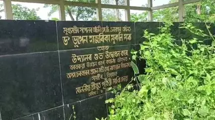 পূব ডিব্ৰুগড়: বৰবৰুৱাৰ ড° ভূপেন হাজৰিকা মুকলি মঞ্চ আৰু উদ‍্যানত ভৰি পৰিছে হাবি বননীয়ে, কাণসাৰ নাই বৰবৰুৱা উন্নয়ন খণ্ড বিষয়াৰ