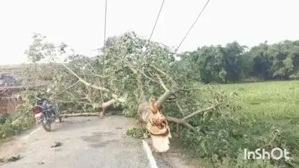 घैलाढ़: घैलाढ प्रखंड क्षेत्र में 48 घंटे से बिजली आपूर्ति बाधित, लोग परेशान
