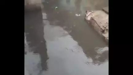 दमोह: पहली बारिश में खुली नगर पालिका दमोह की पोल, शहर का बस स्टैंड बना तालाब