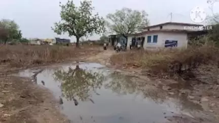 मेजा: #जनसमस्या मेजा बीज गोदाम के रास्ते पर गड्ढे में भरा गंदा पानी, वीडियो वायरल।