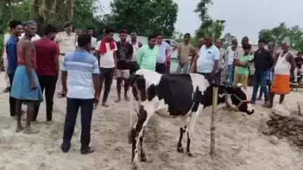 सुपौल: DCLR सुपौल द्वारा ज़िला के 72 स्पर से अतिक्रमण हटाया गया, मौके पर जनप्रतिनिधि मौजूद रहे