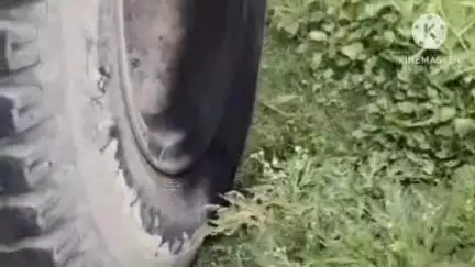 भदेसर: भदेसर में हाईटेंशन लाइन से टकराया ट्रक, टायर जलने पर ड्राइवर ने कूदकर बचाई जान, बड़ा हादसा टला