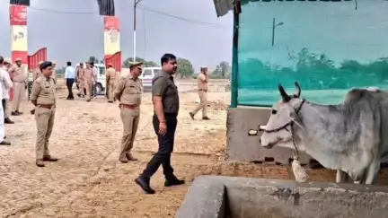 गौरीगंज: जिलाधिकारी व पुलिस अधीक्षक ने अस्थायी गोवंश आश्रय स्थल मोहइया केसरिया का निरीक्षण किया, दिए आवश्यक दिशा-निर्देश