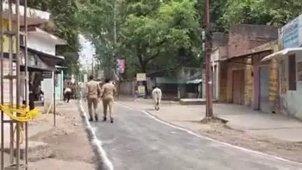 पीलीभीत: राज्यपाल के आने से पहले पुलिस लाइन जाने वाले रास्ते पर देखा गया आवारा सांड, पुलिसकर्मियों ने बमुश्किल भगाया