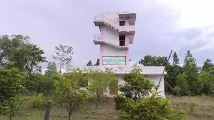 ତେଲକୋଇ: ମଲଣ୍ଡା ଓ ବନ୍ଧନଝରୀ ଅଞ୍ଚଳରେ ପଲୁଆ ହାତୀ, ତେଲକୋଇ ବନ ବିଭାଗ ରଖିଛି ନଜର