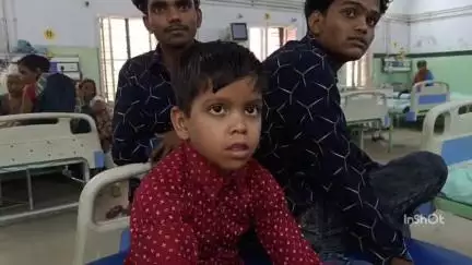 बरेली: बिशारतगंज थाना क्षेत्र के ग्राम मझगवां में बालक पर बंदरों के झुंड ने किया हमला, जिला अस्पताल में कराया भर्ती