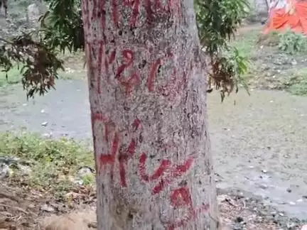 पर्यावरण संरक्षण की हार्दिक शुभकामना आए एक पेड़ मां के नाम लगाए अपनी धरा को स्वर्ग बनाए