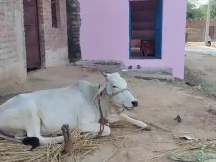 ग्राम पंचायत आगाहुड़ थाना रैपुरा चित्रकूट