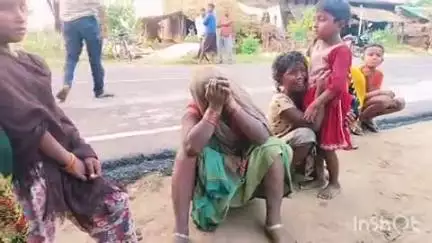 बथुआ खास गांव में जहरीले जंतु के काटने से दो मवेशियों की हुई मौत, पशु चिकित्सा अधिकारी ने की पुष्टि