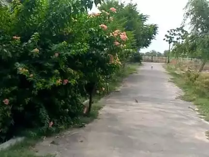 सहसराम आश्रम पर दशहरा पर्व और माननीय मुख्यमंत्री आदित्यनाथ योगी जी महाराज के जन्मदिन पर विशाल भंडारा