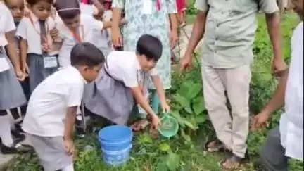 হাড়োয়া: বিশ্ব পরিবেশ দিবস উপলক্ষে নজরনগর এলাকায় সচেতন মূলক পদযাত্রা ও বৃক্ষরোপণ কর্মসূচি