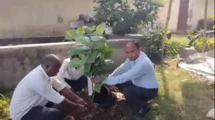 नौगावां सादात: अलीनगर मोहल्ले में भाजपा के राष्ट्रीय महासंपर्क विभाग के जिला संयोजक ने विश्व पर्यावरण दिवस पर लगाया पौधा