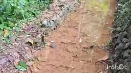 കോട്ടയം: മീനടം കടുപ്പികവലയിലെ നടപ്പുവഴി നന്നാക്കാത്തതിനെതിരെ പ്രതിഷേധം ശക്തമാകുന്നു