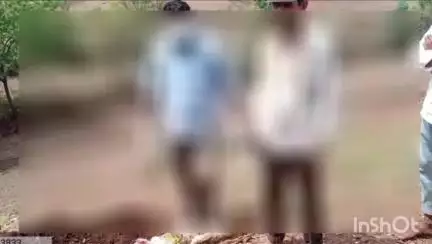 आनंदपुरी: फलवा गाँव में पैंथर ने किया छह मवेशियों का शिकार, डॉक्टरों की टीम ने किया पोस्टमार्टम