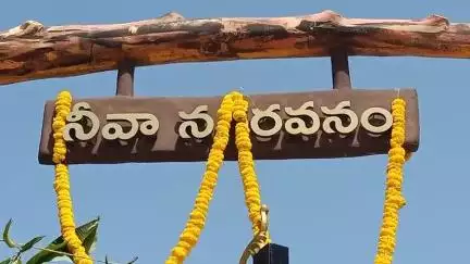 పర్యావరణ పరిరక్షణ ప్రతి ఒక్కరి బాధ్యత ఎమ్మెల్యే గురజాల జగన్మోహన్, డీఎఫ్ఓ ధరణి