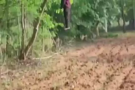 ପାଟଣାଗଡ: ଖଇରପାଳି ନିକଟସ୍ଥ ଏକ ଗଛରୁ ଯୁବକଙ୍କ ଝୁଲନ୍ତା ମୃତ ଦେହ ଉଦ୍ଧାର