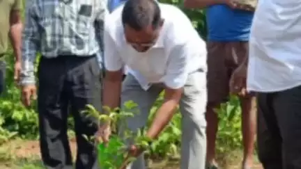 କାମାକ୍ଷାନଗର: ବାଟଗାଁ ଶିବ ମନ୍ଦିରରେ ଗୁରୁବାର ୧୦ଟାରେ ବୃକ୍ଷ ରୋପଣ କଲେ ବିଜେପି ଜିଲା ସଭାପତି ରାସବିହାରୀ ବେହେରା