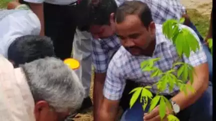 अस्थावां: उप विकास आयुक्त ने वलावपुर के मध्य विद्यालय में पौधारोपण कर पर्यावरण संरक्षण का संदेश दिया