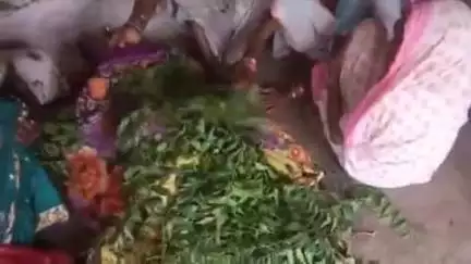 शहपुरा: ददर गांव में घर के आंगन में सो रही महिला को सांप ने काटा, महिला की मौत, शहपुरा पुलिस कर रही जांच