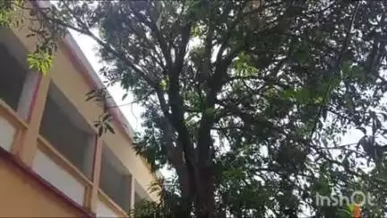 भोगनीपुर: बरौर इंटर कॉलेज में आम तोड़ते समय पेड़ से गिरकर चतुर्थ श्रेणी कर्मचारी की हुई मौत, पुलिस ने पोस्टमार्टम के लिए भेजा शव