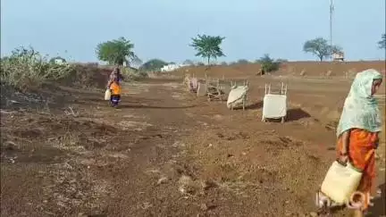 दुर्ग: अंजोरा ढाबा गांव में हरियाली की नई मिसाल, महिलाएं बनीं पर्यावरण की प्रहरी